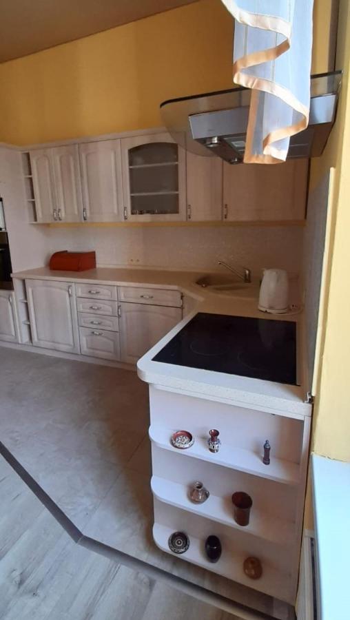 Apartament Kasztanowy Lejlighed Gliwice Eksteriør billede